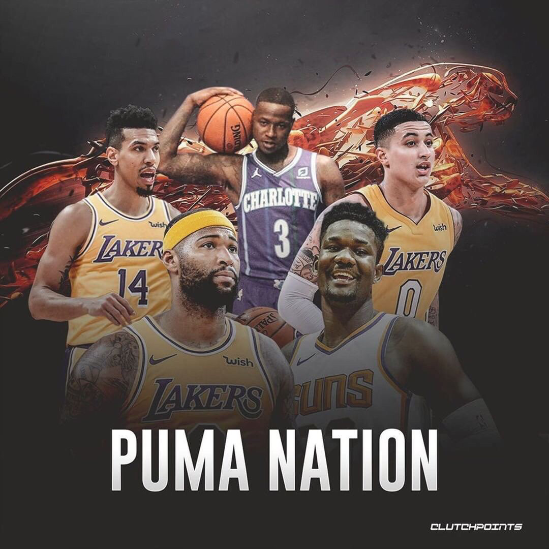 均表现出色 均表现出色