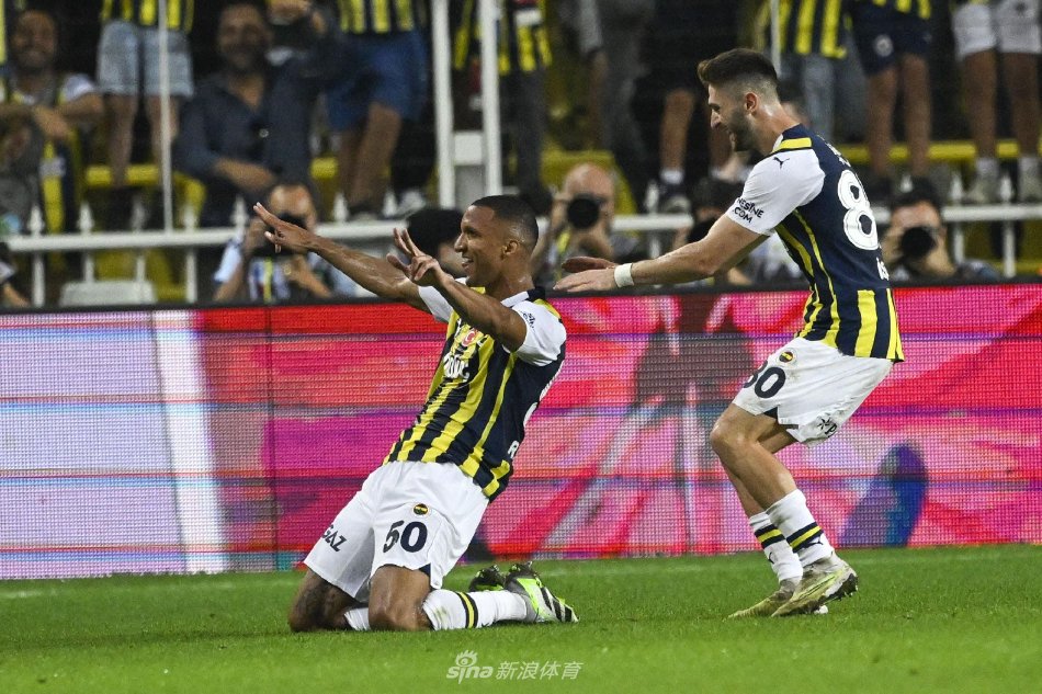 总结中强调 总结中强调